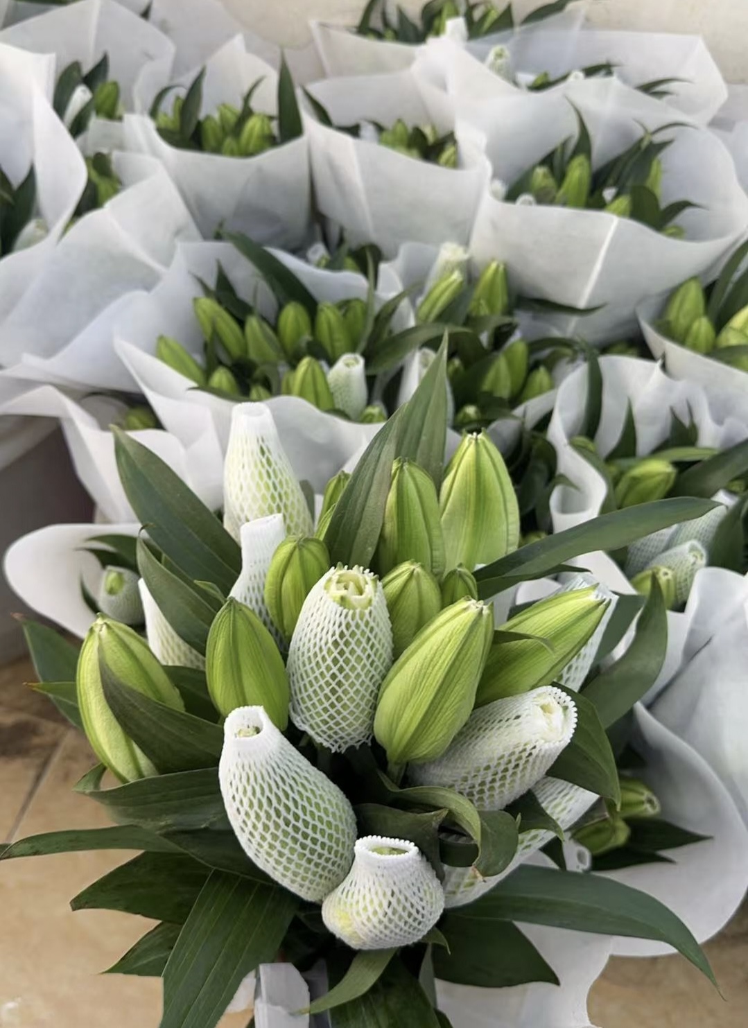 Elsa Double Petal Spray Lily