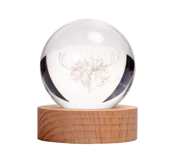 3D Crystal Ball LED Night Light with Wood Base