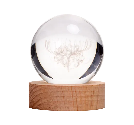3D Crystal Ball LED Night Light with Wood Base