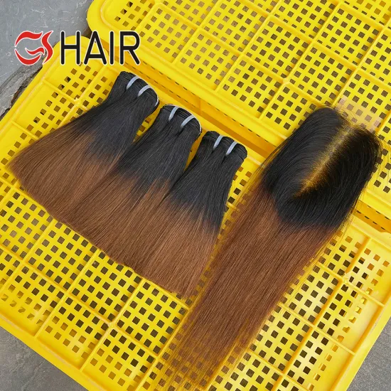GS Best Wholesale Raw Dark Ombre Vietnamese Hair Bundles - Natural Straight From One Donor