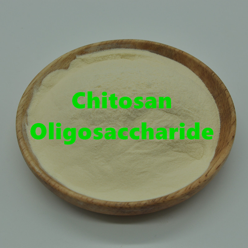 Chitosan Oligosaccharid Jpg Chitosan Oligosaccharide Jpg