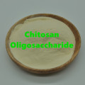 /msite/products/detail/productid/59540980/id/1001309.html