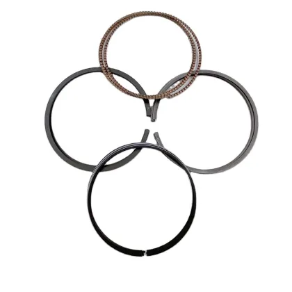 NPR RIK Engine Piston Ring for Honda Accord F20B2