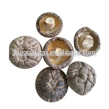 Chinese Traditional Tea Flower Shiitake Mushroom For Meat Broth