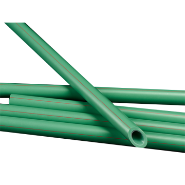 POLOLERO Lilelvchun Series green