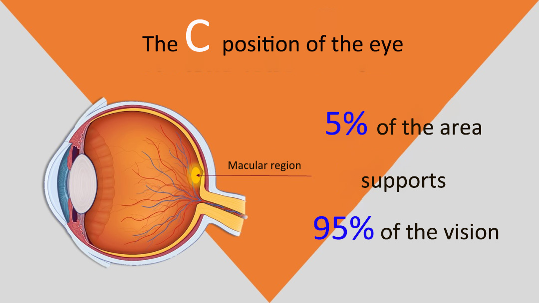 marigold extract for eye health