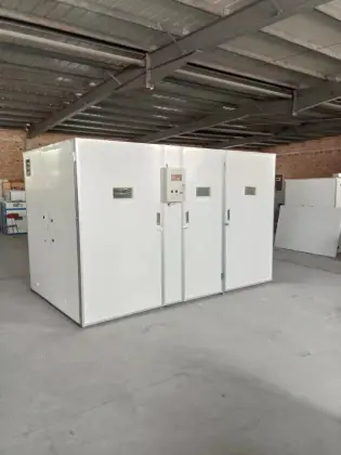 Digital Turkey Incubator Poultry Incubator Machine