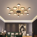 LEDER Flush Vanity Ceiling Lightings