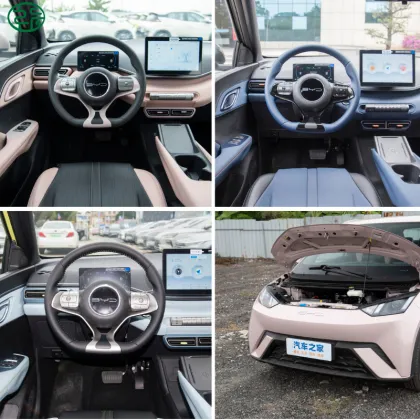 2025 BYD Seagull New Energy Vehicle: Small Adult Car Overview