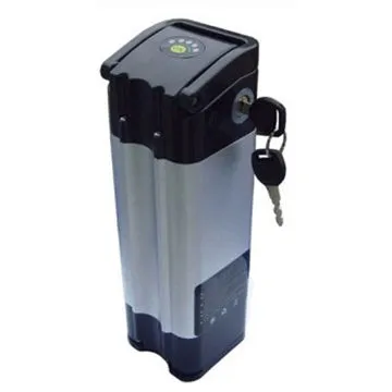 LiFePO4 battery 24V cheap price with charger