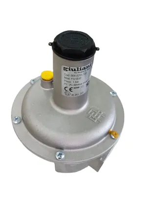 Italy Giuliani Anello FG1B40 Adjustable Pressure Regulating Valve