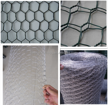 Verzinkte und PVC beschichtete hexagonale Drahtnetz/Maschen