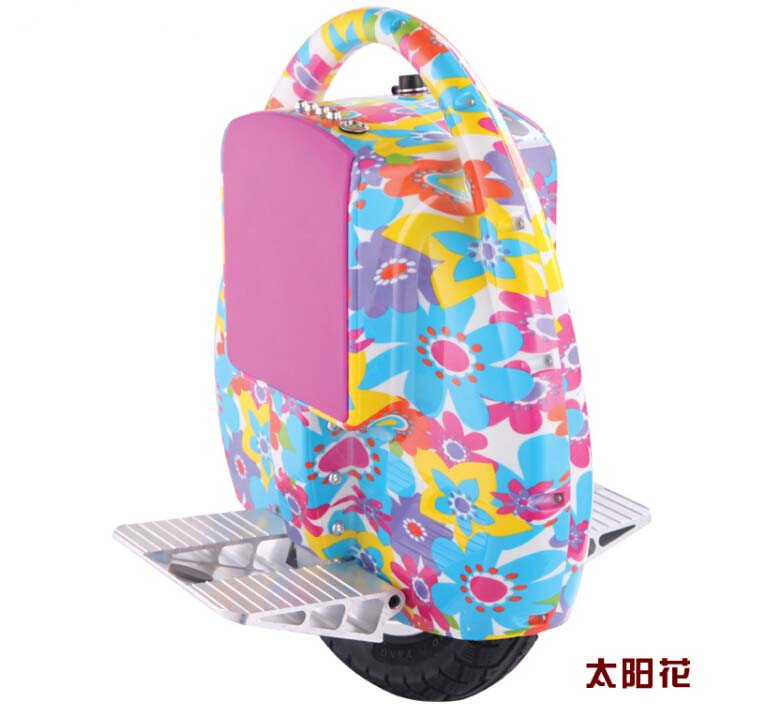 Beautiful Patterns Electric Unicycle New Styple Bicycle OEM Available