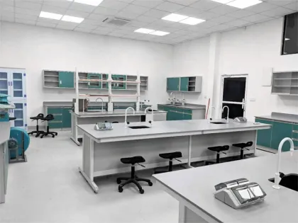 Creative Wood Working Bench for Chemical Labs - Floor Mounted Structure