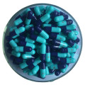 empty hpmc capsules colored capsule ISO