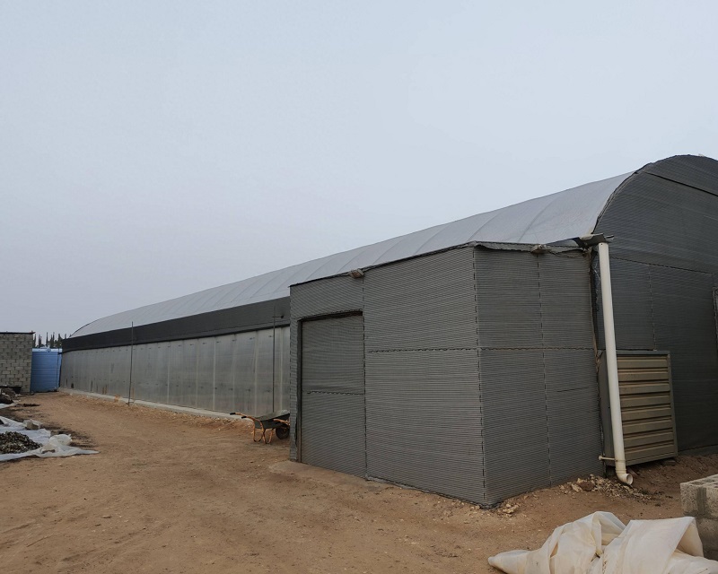 Based on Trust, Qatari Clients Join Hands with Qingcheng Agriculture to Build a Green Dream in Greenhouses