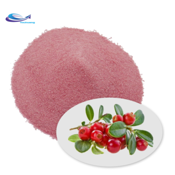 Hot Selling Natural Organic Cranberry Powder Instant Fruit