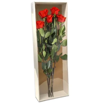 PVC/PET Gift Boxes with Hinged Lid for Cake, Flower, and Candy Packaging