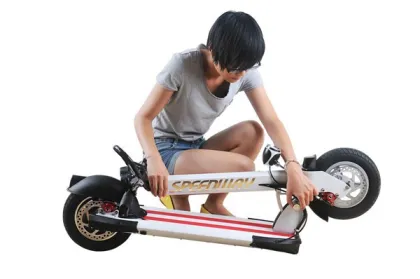 Myway Folding Electric Scooter 350w