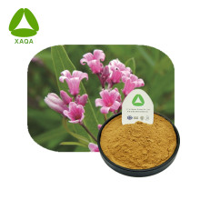 Apocynum Extract Hyperoside Powder CAS 482-36-0