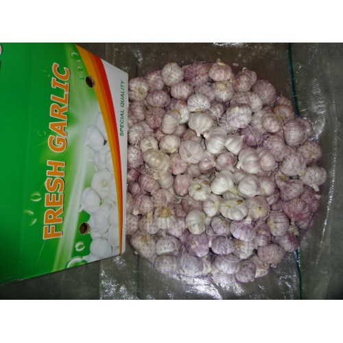 Hot Sale Normal White Garlic Fresh 2019