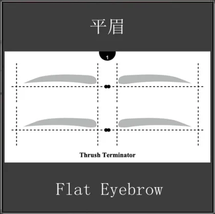 Eyebrow Makeup tools cosmetics makeup