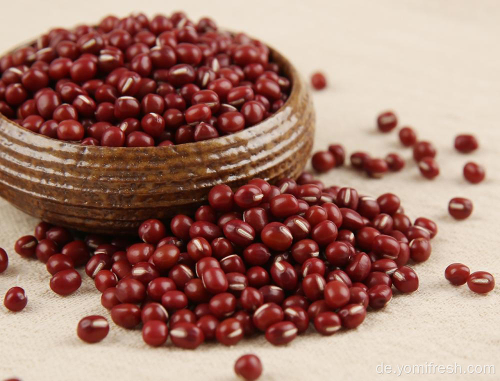 Ernährung der roten Bean