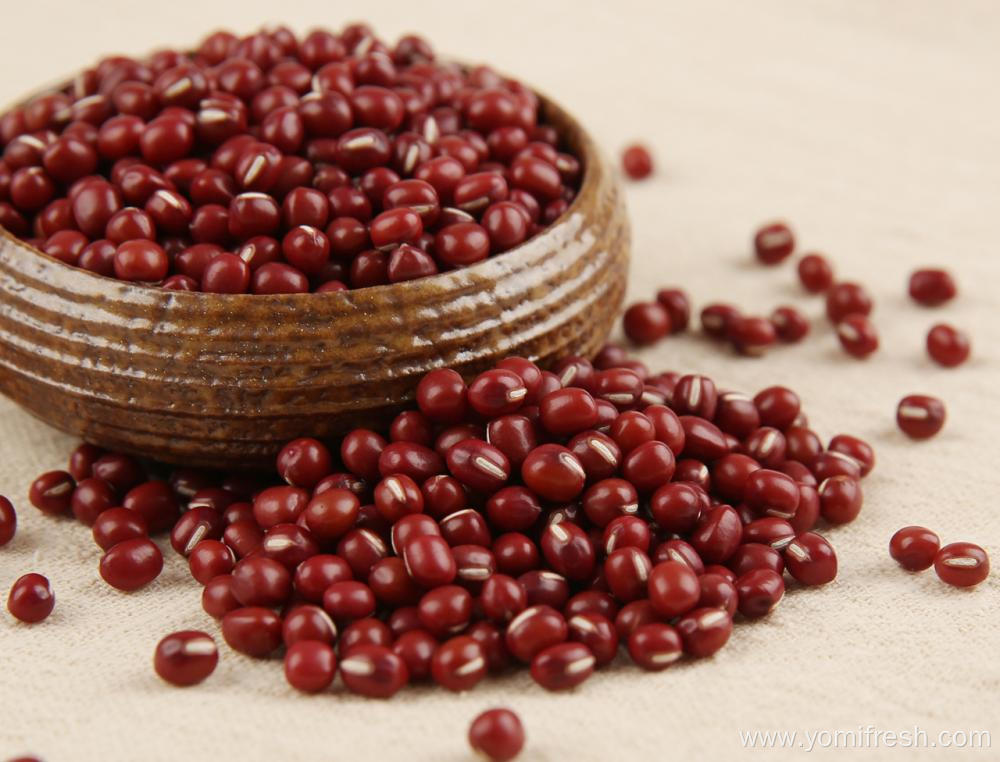 Red Bean Nutrition