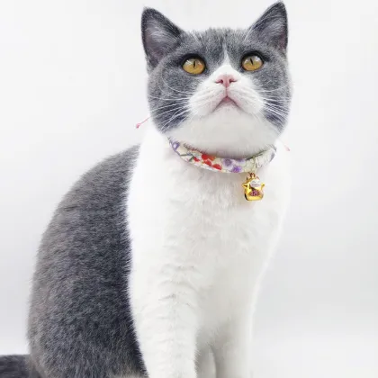 Adjustable Cute Bell Small Pet Cat Kitten Collar