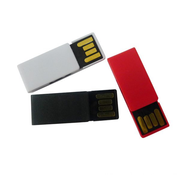 Professional USB Flash Drive