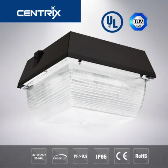 LED Light Canopy Meanwell Driver UL DLC Listed 40w LED Canopy Light Fixtures