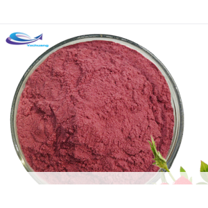 Best Price Aronia Fruit Powder