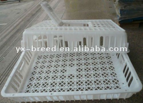 White color Poultry transport crate