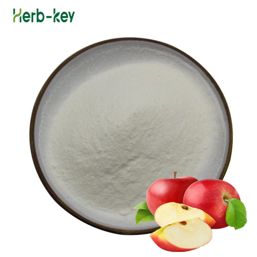 Food grade apple cider vinegar powder