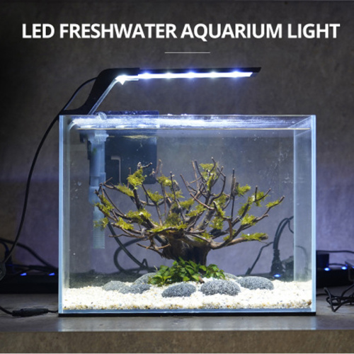 淡水LED水族館フード照明水タンクライト