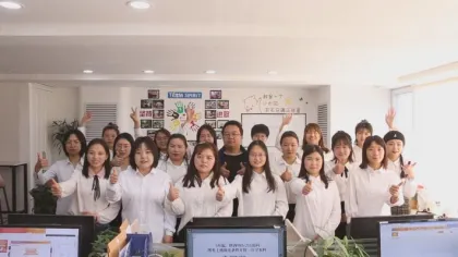 Ginseng Berry Extract,1%~80% Ginsenosides Panax Ginseng