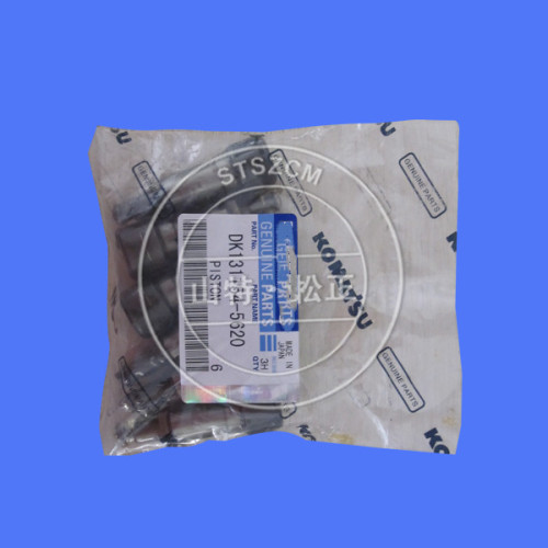 komatsu PC200-7 injectie pomp zuiger DK131154-5620