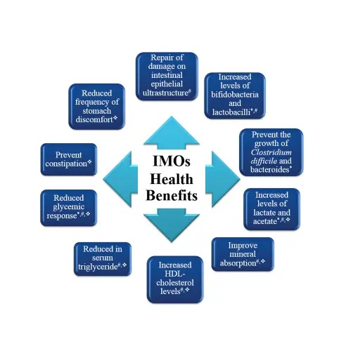 IMO Health benefits