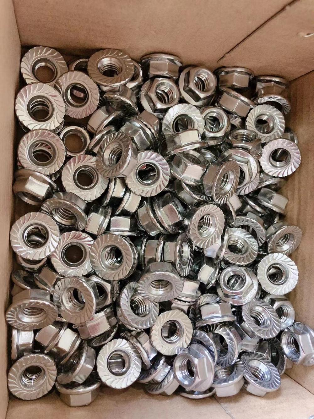 DIN6923 SS316 kacang flange biasa