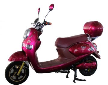 Red singal lamp electric scooter