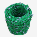 Het som säljer galvaniserad taggtråd av god kvalitet