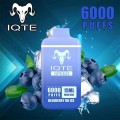 Elite 5% Cigarettes électroniques rechargeables NIC Aloe Grape