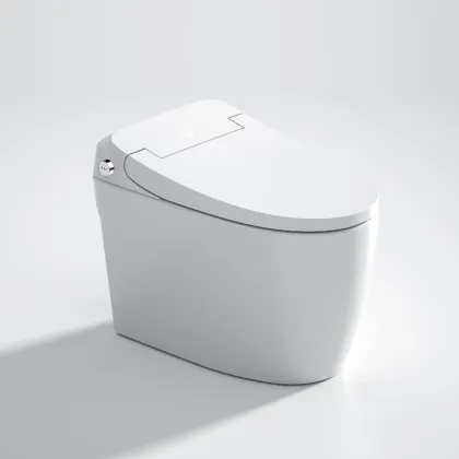 Washing Heating Drying Cheap Smart Toilet