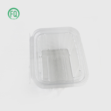 Wholesale Custom Disposable Fruit Bowl Salad Containers with Lid for Lunch
