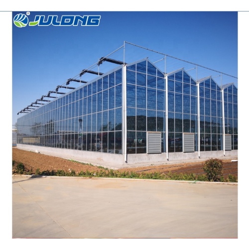 Agricultural Commercial Venlo Glass Greenhouse Price, High Quality