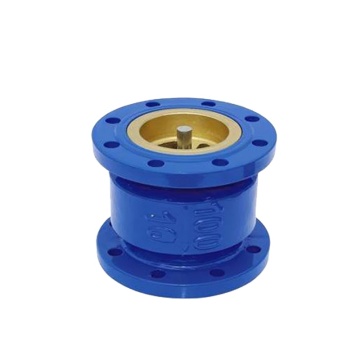 Spring-Loaded and Silent Check Valve: Understanding Their Function, Applications, and Benefits