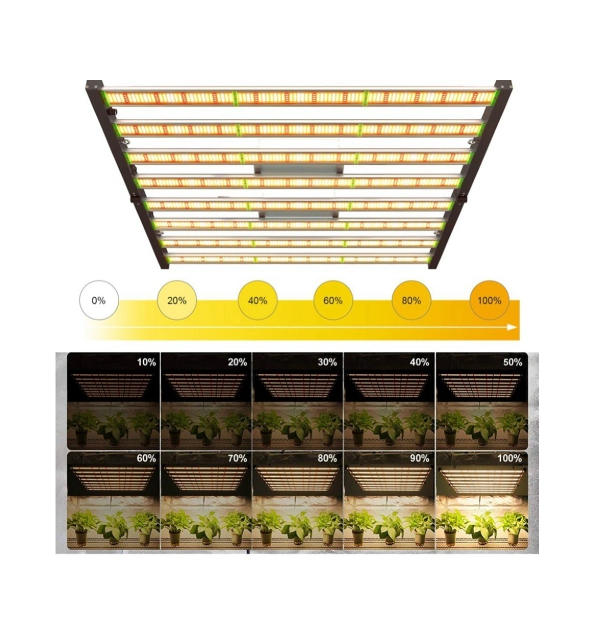 "Green Revolution" is on the way: LED plant lights help indoor plant cultivation