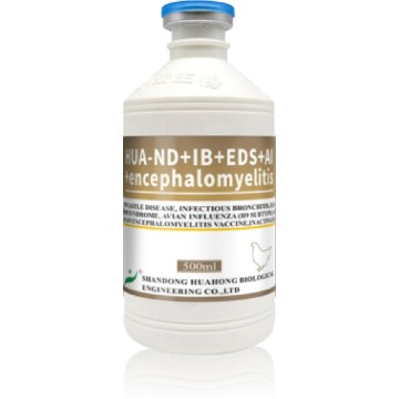 ND IB EDS H9 AE Vaccin inactivat