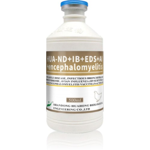 ND IB EDS H9 AE Vaccin inactivat