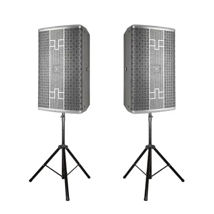 10 Inch Professional Audio Stage Concert RCF Speaker System for Church